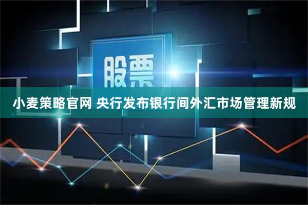 小麦策略官网 央行发布银行间外汇市场管理新规